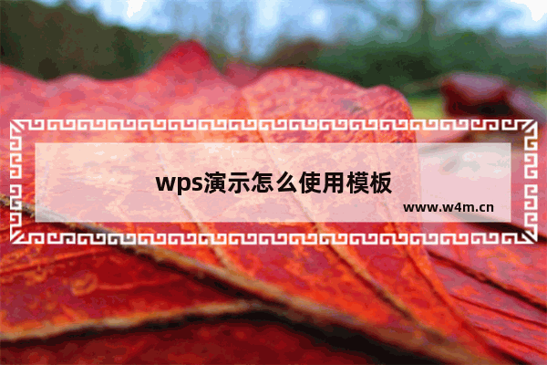 wps演示怎么使用模板