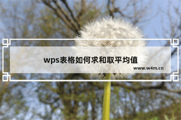 wps表格如何求和取平均值