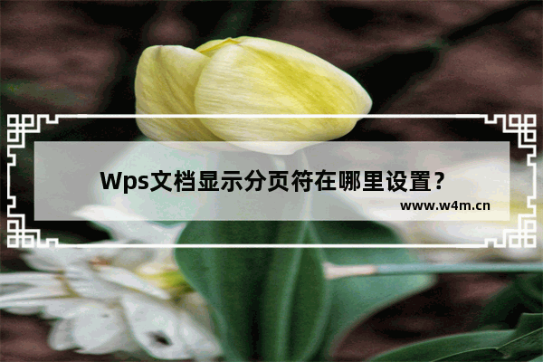 Wps文档显示分页符在哪里设置？