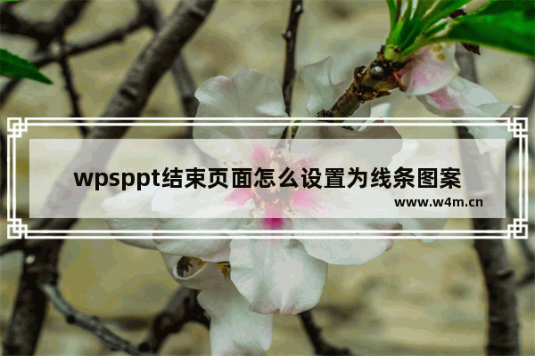 wpsppt结束页面怎么设置为线条图案