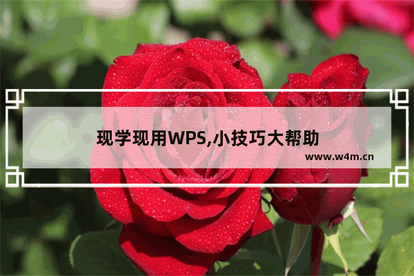 现学现用WPS,小技巧大帮助