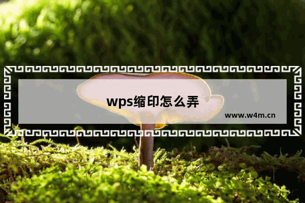 wps缩印怎么弄