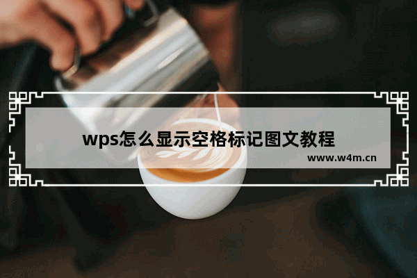 wps怎么显示空格标记图文教程