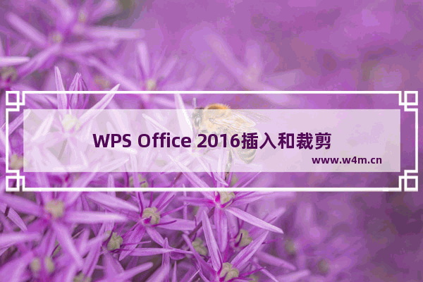 WPS Office 2016插入和裁剪图片的方法步骤