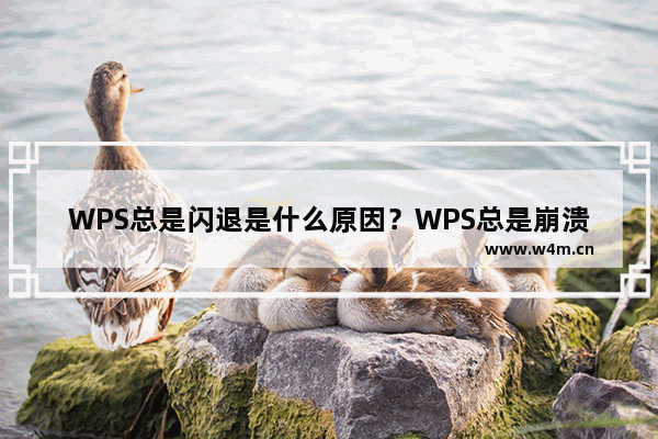 WPS总是闪退是什么原因？WPS总是崩溃怎么处理解决方法教学