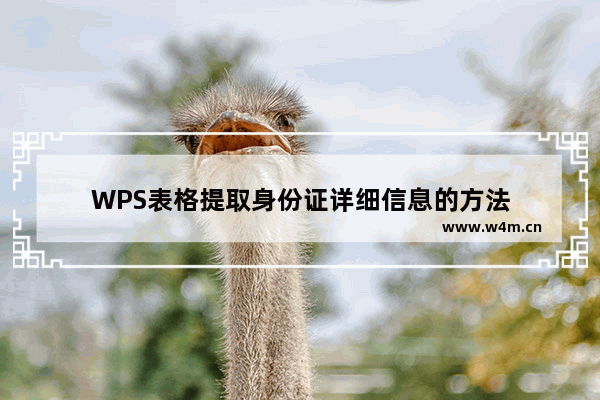 WPS表格提取身份证详细信息的方法