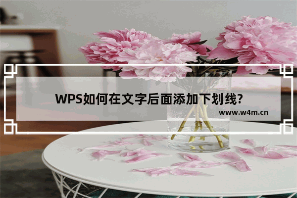 WPS如何在文字后面添加下划线?