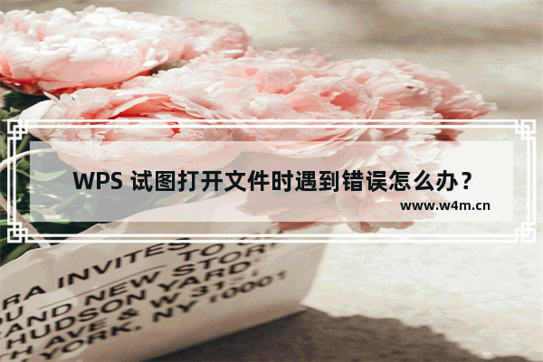 WPS 试图打开文件时遇到错误怎么办？