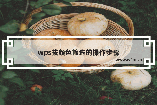 wps按颜色筛选的操作步骤