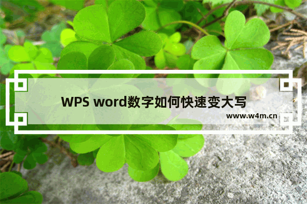 WPS word数字如何快速变大写