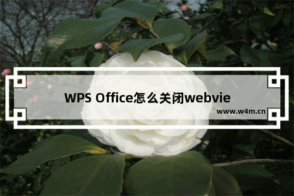 WPS Office怎么关闭webview硬件加速?关闭webview硬件加速教程