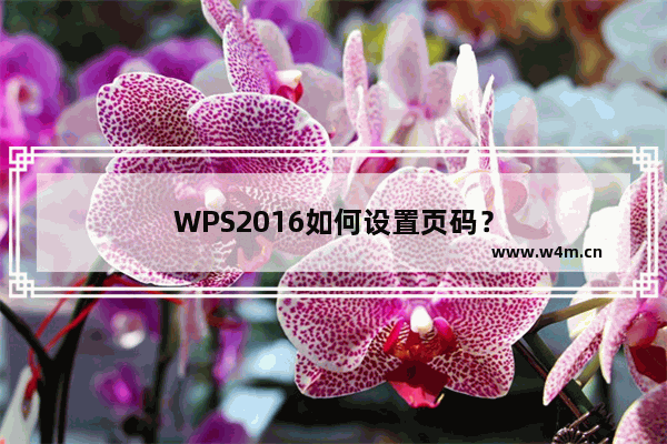 WPS2016如何设置页码？