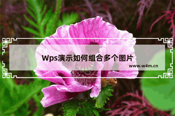 Wps演示如何组合多个图片