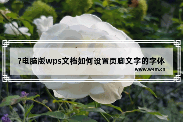 ?电脑版wps文档如何设置页脚文字的字体