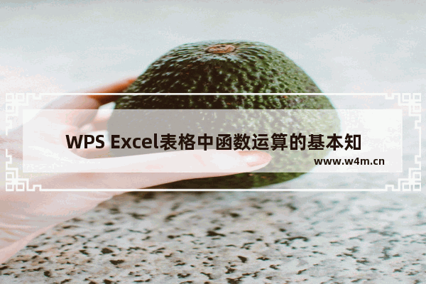 WPS Excel表格中函数运算的基本知识教程