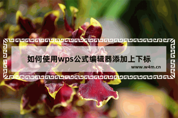 如何使用wps公式编辑器添加上下标