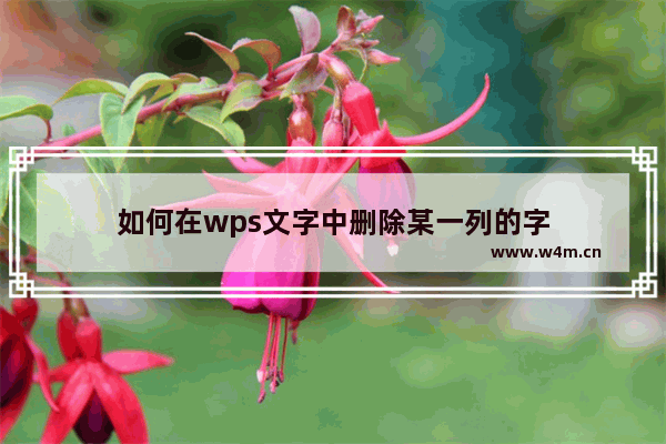 如何在wps文字中删除某一列的字