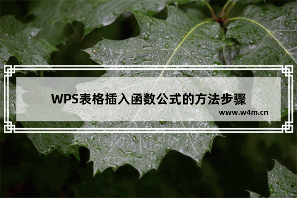 WPS表格插入函数公式的方法步骤