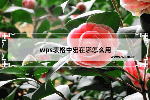 wps表格中宏在哪怎么用