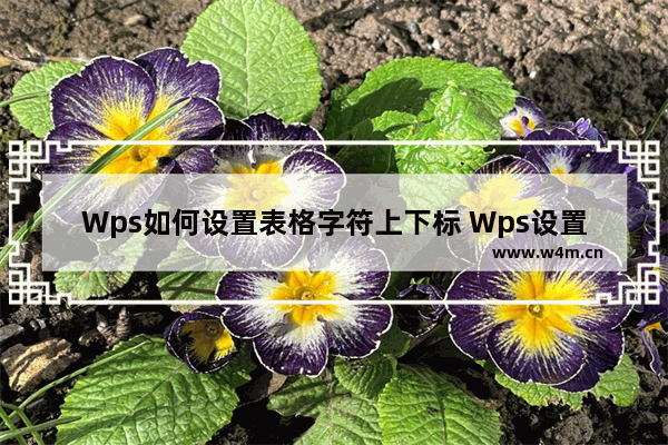 Wps如何设置表格字符上下标 Wps设置表格字符上下标的方法