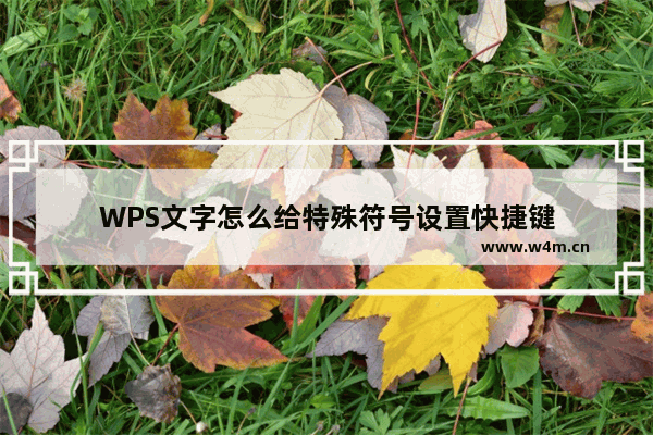 WPS文字怎么给特殊符号设置快捷键