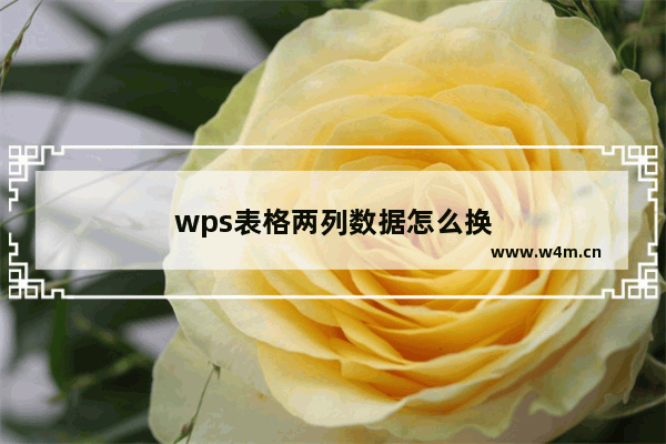 wps表格两列数据怎么换