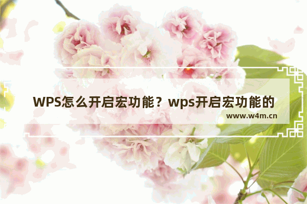 WPS怎么开启宏功能？wps开启宏功能的方法步骤