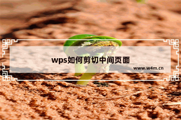 wps如何剪切中间页面