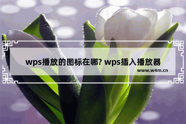 wps播放的图标在哪? wps插入播放器符号的教程