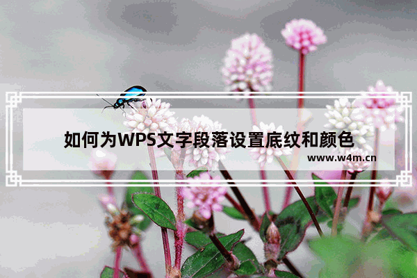 如何为WPS文字段落设置底纹和颜色