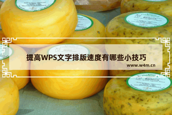 提高WPS文字排版速度有哪些小技巧