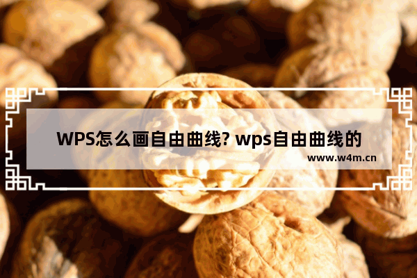 WPS怎么画自由曲线? wps自由曲线的绘制方法