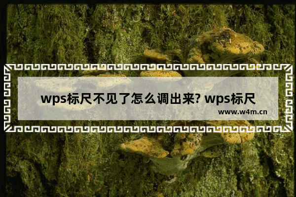 wps标尺不见了怎么调出来? wps标尺的使用方法