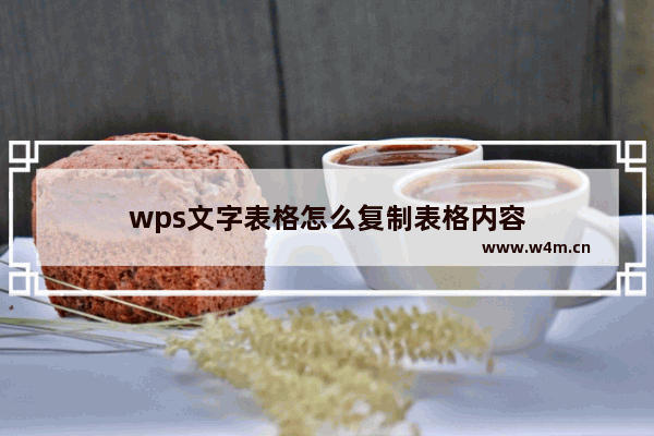 wps文字表格怎么复制表格内容