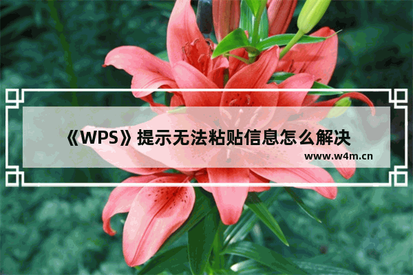 《WPS》提示无法粘贴信息怎么解决