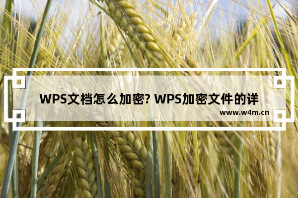 WPS文档怎么加密? WPS加密文件的详细教程