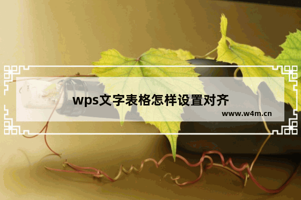 wps文字表格怎样设置对齐