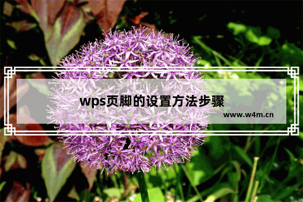 wps页脚的设置方法步骤