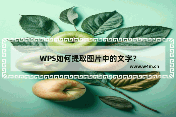 WPS如何提取图片中的文字？