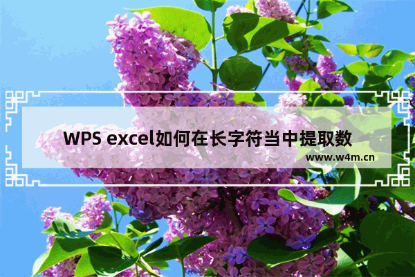 WPS excel如何在长字符当中提取数据