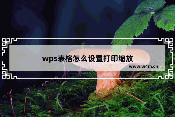 wps表格怎么设置打印缩放