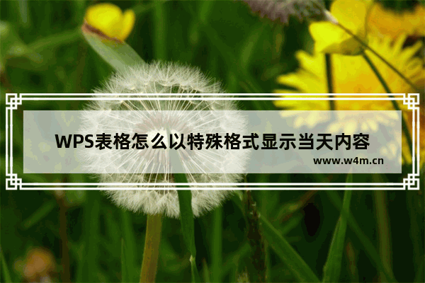 WPS表格怎么以特殊格式显示当天内容