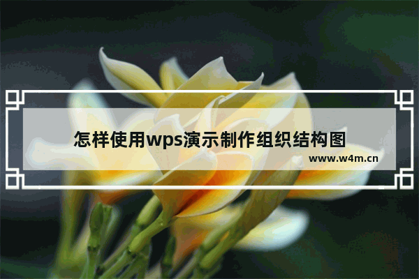 怎样使用wps演示制作组织结构图