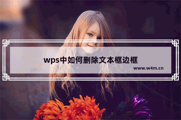 wps中如何删除文本框边框