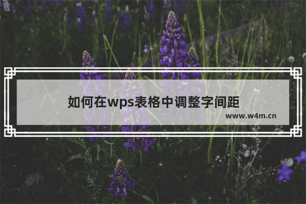 如何在wps表格中调整字间距