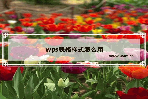 wps表格样式怎么用