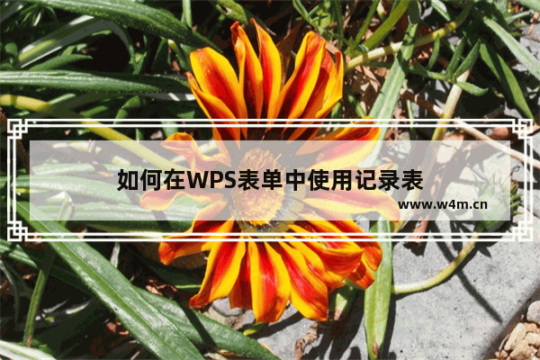 如何在WPS表单中使用记录表