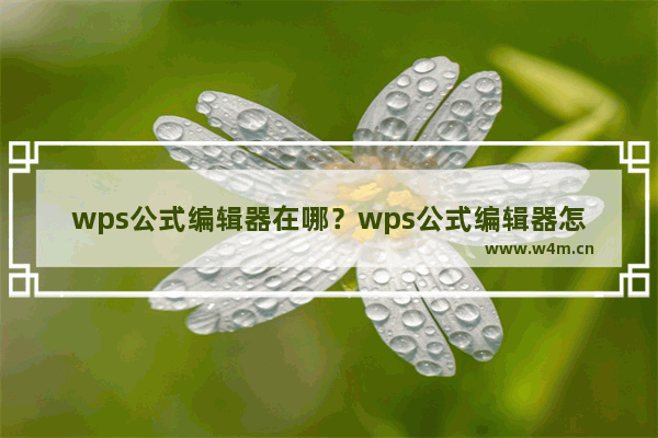 wps公式编辑器在哪？wps公式编辑器怎么用？