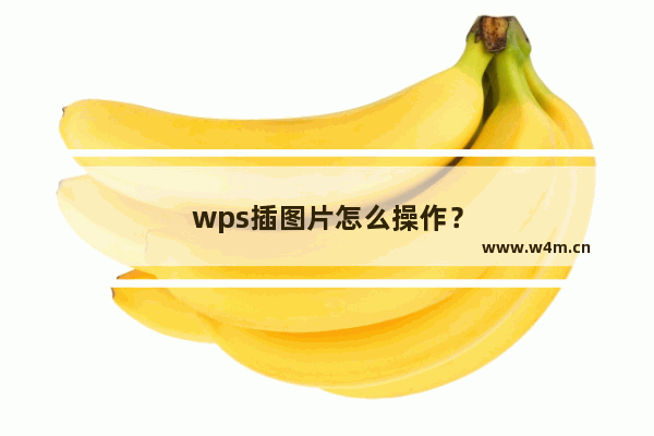 wps插图片怎么操作？