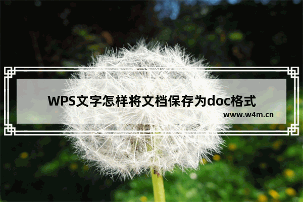 WPS文字怎样将文档保存为doc格式